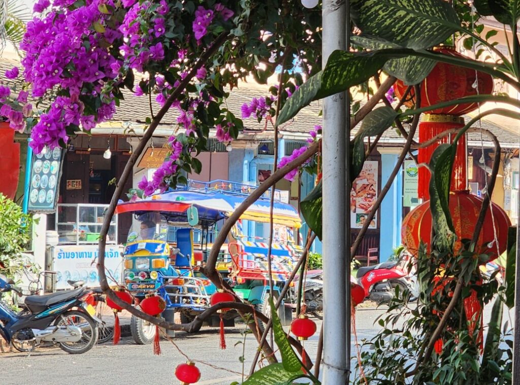 Picture of Tuk tuk transport in Luang Prabang and Laos 2024