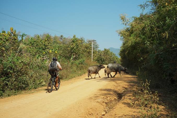 laos- laos biking chomphet David 2026